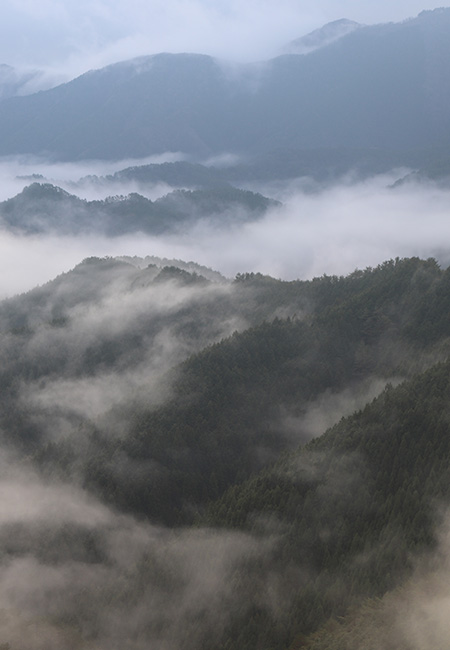 高野山